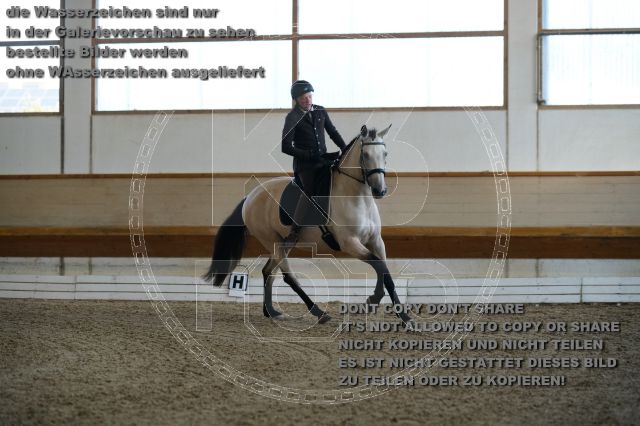 s_K3F02787.JPG